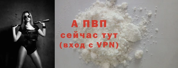 спиды Новозыбков