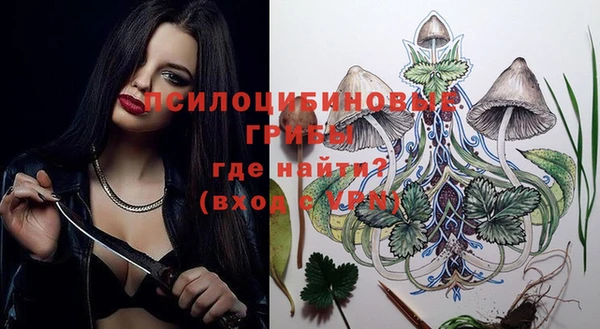 спиды Новозыбков