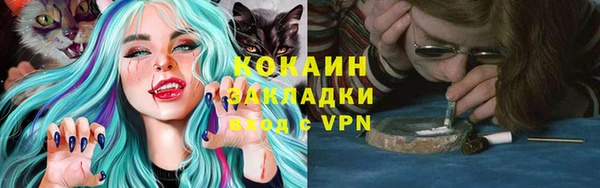 mdpv Новодвинск