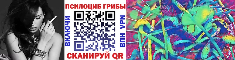 Галлюциногенные грибы Psilocybine cubensis  Кремёнки 
